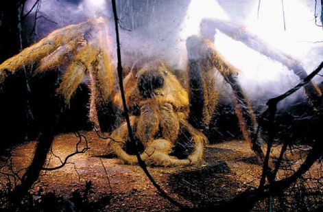 aragog_2.jpg