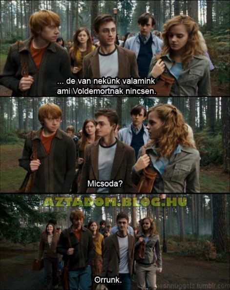 harrypotteroor.jpg